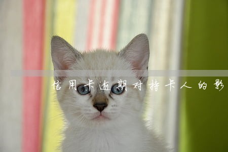信用卡逾期对持卡人的影响 信用卡逾期对持卡人的影响