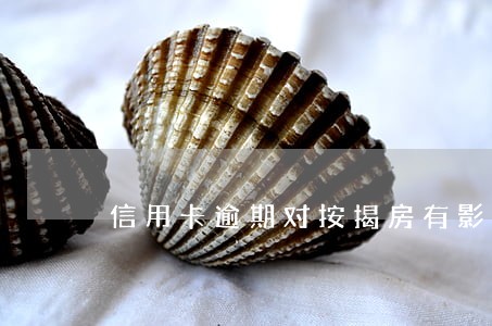 信用卡逾期对按揭房有影响吗 信用卡逾期对按揭房有影响吗