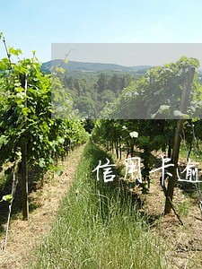 信用卡逾期对支付宝有啥影响 信用卡逾期对支付宝有啥影响
