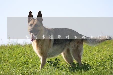 信用卡逾期对方称上门起诉 信用卡逾期对方称上门起诉