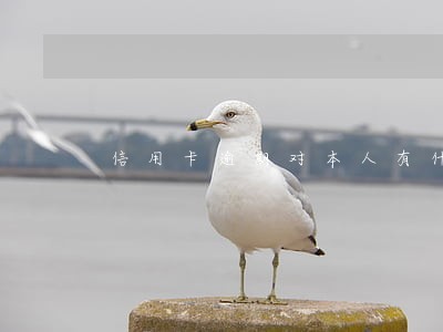 信用卡逾期对本人有什么影响吗 信用卡逾期对本人有什么影响吗