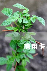 信用卡逾期对法人有什么影响吗 信用卡逾期对法人有什么影响吗