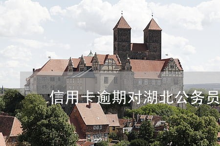 信用卡逾期对湖北公务员政审 信用卡逾期对湖北公务员政审