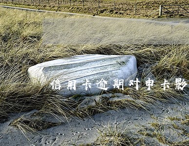 信用卡逾期对申卡影响 信用卡逾期对申卡影响