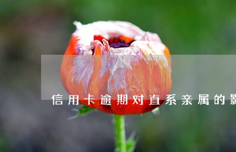 信用卡逾期对直系亲属的影响 信用卡逾期对直系亲属的影响