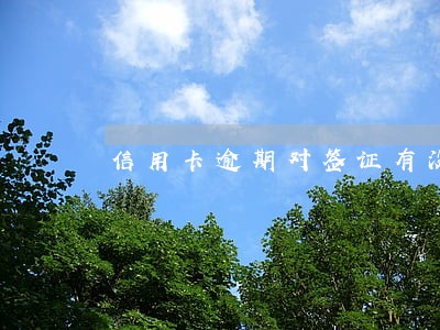 信用卡逾期对签证有没有影响