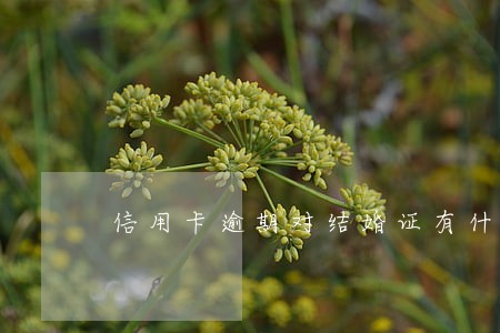 信用卡逾期对结婚证有什么影响 信用卡逾期对结婚证有什么影响