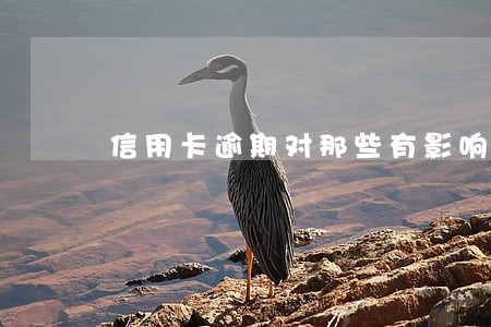 信用卡逾期对那些有影响 信用卡逾期对那些有影响