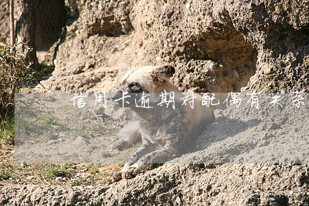 信用卡逾期对配偶有关系吗 信用卡逾期对配偶有关系吗
