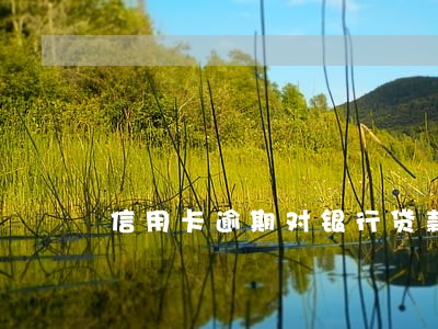 信用卡逾期对银行贷款 信用卡逾期对银行贷款