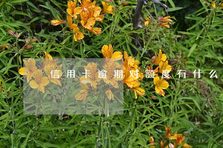 信用卡逾期对额度有什么影响 信用卡逾期对额度有什么影响