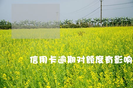 信用卡逾期对额度有影响吗 信用卡逾期对额度有影响吗