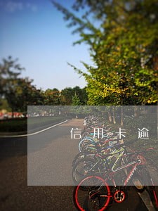 信用卡逾期寻求什么部门帮助 信用卡逾期寻求什么部门帮助