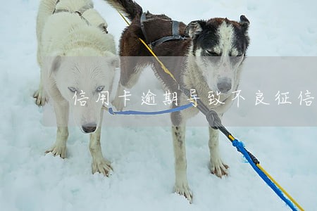 信用卡逾期导致不良征信 信用卡逾期导致不良征信