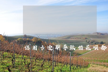 信用卡逾期导致借花呗都不能用