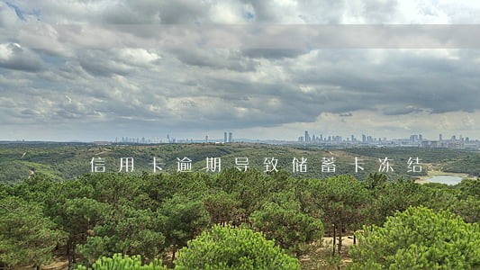 信用卡逾期导致储蓄卡冻结