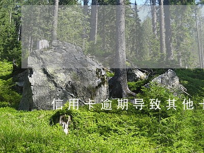 信用卡逾期导致其他卡被冻结