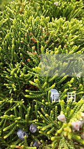 信用卡逾期导致卡片不能使用 信用卡逾期导致卡片不能使用