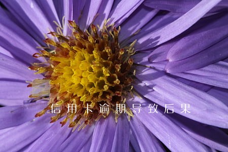 信用卡逾期导致后果 信用卡逾期导致后果