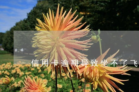 信用卡逾期导致坐不了飞机