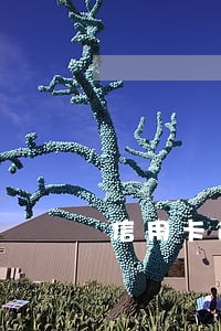 信用卡逾期导致异常 信用卡逾期导致异常