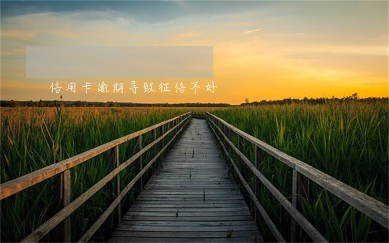 信用卡逾期导致征信不好 信用卡逾期导致征信不好