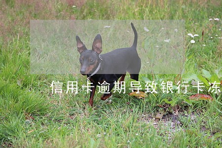 信用卡逾期导致银行卡冻结 信用卡逾期导致银行卡冻结