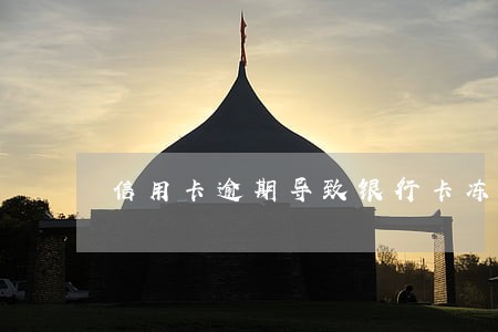 信用卡逾期导致银行卡冻结咋解决