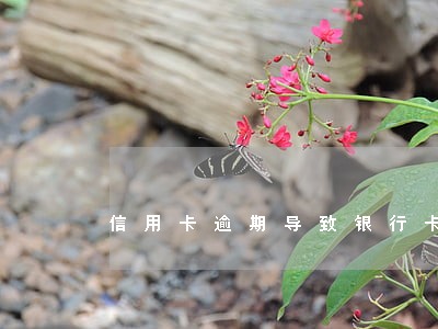 信用卡逾期导致银行卡冻结怎么办 信用卡逾期导致银行卡冻结怎么办
