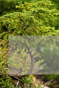 信用卡逾期导致银行卡被冻结了 信用卡逾期导致银行卡被冻结了
