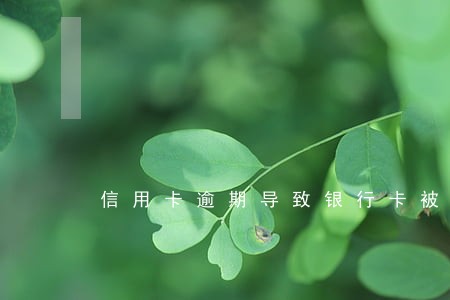 信用卡逾期导致银行卡被锁 信用卡逾期导致银行卡被锁