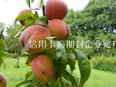 信用卡逾期封企业账户 信用卡逾期封企业账户