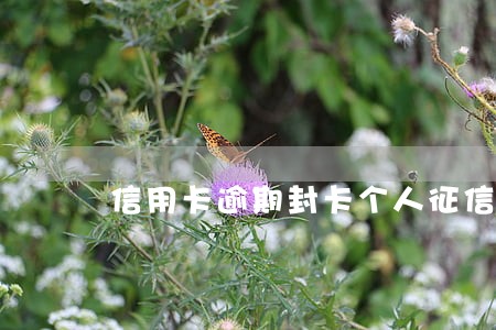 信用卡逾期封卡个人征信 信用卡逾期封卡个人征信