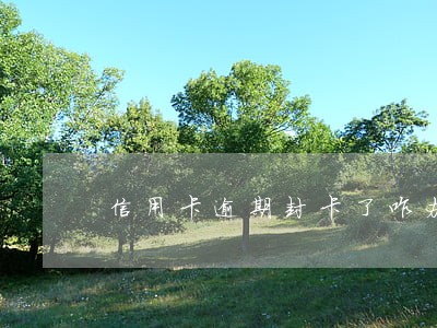 信用卡逾期封卡了咋办 信用卡逾期封卡了咋办