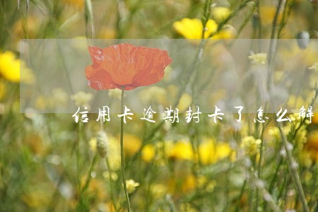 信用卡逾期封卡了怎么解决 信用卡逾期封卡了怎么解决