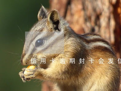 信用卡逾期封卡会发信息吗 信用卡逾期封卡会发信息吗