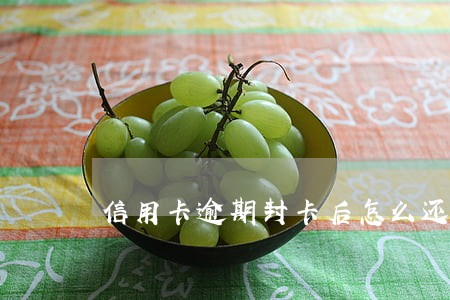 信用卡逾期封卡后怎么还 信用卡逾期封卡后怎么还