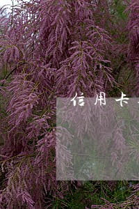 信用卡逾期封卡后还完就注销吗 信用卡逾期封卡后还完就注销吗