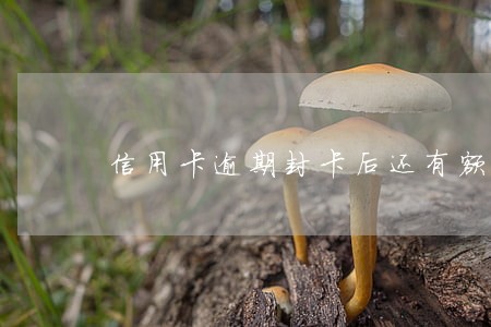 信用卡逾期封卡后还有额度 信用卡逾期封卡后还有额度