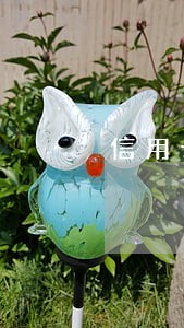 信用卡逾期封卡后还能办信用卡嘛 信用卡逾期封卡后还能办信用卡嘛