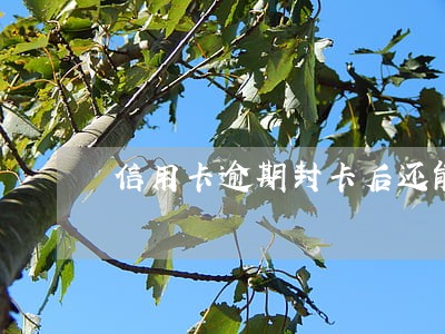 信用卡逾期封卡后还能申请吗