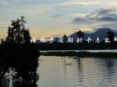 信用卡逾期封卡怎么解封 信用卡逾期封卡怎么解封