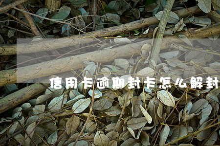 信用卡逾期封卡怎么解封6 信用卡逾期封卡怎么解封6