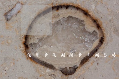 信用卡逾期封卡有利息吗 信用卡逾期封卡有利息吗