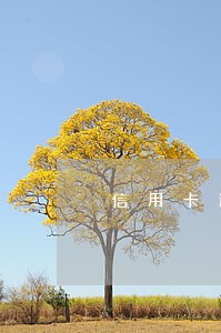 信用卡逾期封卡标准