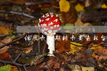 信用卡逾期封卡要去柜台办理解封 信用卡逾期封卡要去柜台办理解封