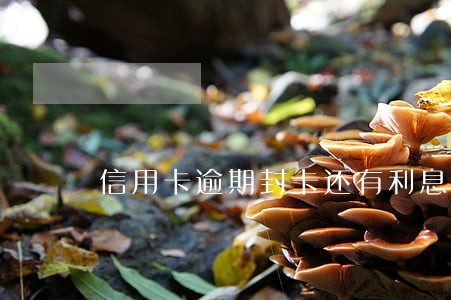 信用卡逾期封卡还有利息吗