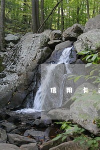 信用卡逾期封卡还清了还能用吗 信用卡逾期封卡还清了还能用吗