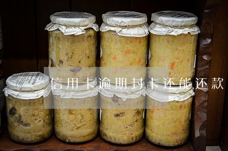 信用卡逾期封卡还能还款吗 信用卡逾期封卡还能还款吗