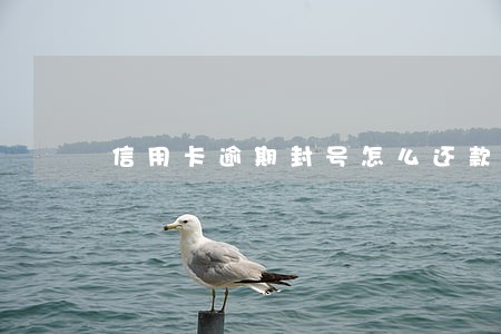 信用卡逾期封号怎么还款 信用卡逾期封号怎么还款